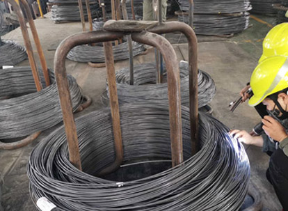 Inspekcja wyglądu-miejsce