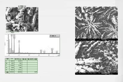 Test membranowy-mikrograf elektronowy